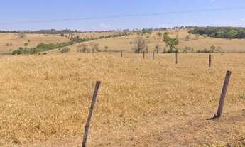 Imagem 4: Fazenda em trindade Goiás com 53 alqueires excelente localização