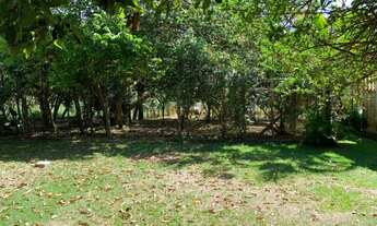 Imagem 7: Chácara para venda tem 2000 metros quadrados