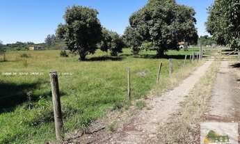 Imagem 4: Sítio de 20.000 m2 em Cesário Lange - SP