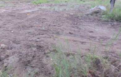 Imagem 3: Porto Alegre - Terreno Padrão - Hípica