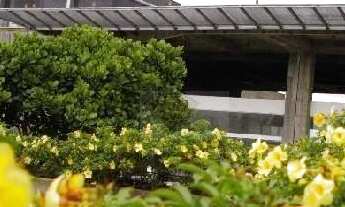 Imagem 7: Laje comercial para locação Vila Olimpia