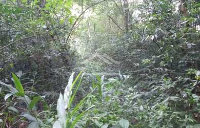 Imagem 7: Área de terra com córrego e cascata localizada em Linha Nova