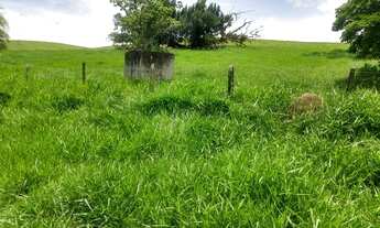 Imagem 6: Fazenda com 115 alqueires em são josé dos campos - plana e ondulada