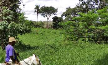 Imagem 4: Fazenda de 150 Alqueires Campinaçu