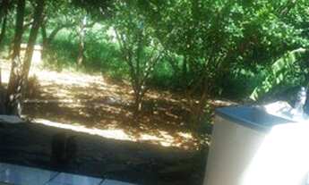 Imagem 7: Fazenda à venda, 1452000 m² por R$ 1.700.000,00 - Zona Rural - Curvelo/MG