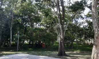 Imagem 6: TERRENO 360m² - Condomínio - Inoã (Inoã) - Maricá - RJ