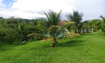 Imagem 3: Entroncamento Itape 40 hectares