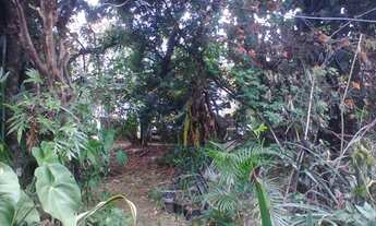 Imagem 7: Belo Horizonte - Loteamento/Condomínio - Salgado Filho