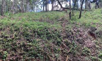 Imagem 6: Terreno no jardim Atalaia