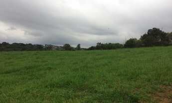 Imagem 2: Excelente Chácara Sem Benfeitorias