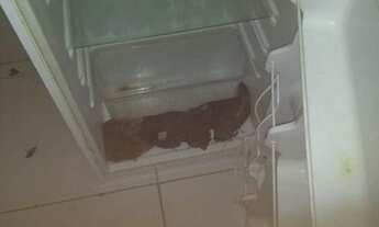 Imagem 4: APARTAMENTO - CONSOLAÇÃO - SP