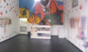 Imagem 4: SALÃO COMERCIAL COM 40M2 NO JARDIM DAS FLORES