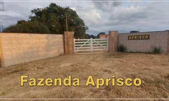 Imagem: Mini Fazenda. Chácara excelente local