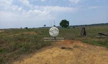 Imagem 4: Machadinho D'Oeste - Fazenda - Machadinho D'Oeste
