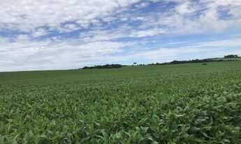Imagem 5: Lapa - 191 hectares - Alta Produtividade - Plantando 80
