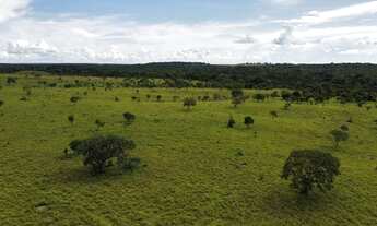 Imagem 2: Fazenda em Araguacema, Tocantins