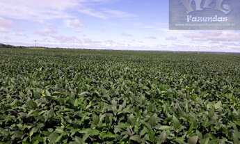 Imagem 2: Fazenda em Porangatu GO - 501 alqs (2.424,84 Ha