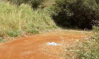 Imagem 5: Sítio para venda em Tatuí-SP de 10 alqueires