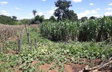 Imagem 16: Sítio de 31 hectares - 5KM de Água Fria