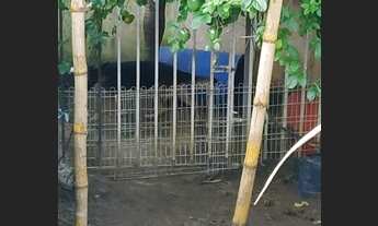 Imagem 7: Excelente casa duplex 3qtos, amplo quintal churrasqueira canil Cpo.Grande 240mil Financia