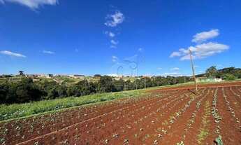 Imagem 5: Chácara Ibiporã