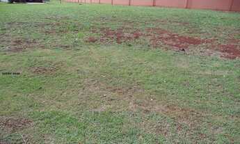 Imagem 5: Terreno em Condomínio para Venda em Ribeirão Preto, Jardim Olhos D`água
