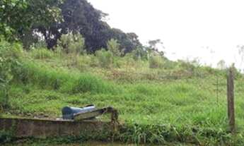 Imagem 2: 12 mil mts sitio com casa alvenaria 300 mil reais