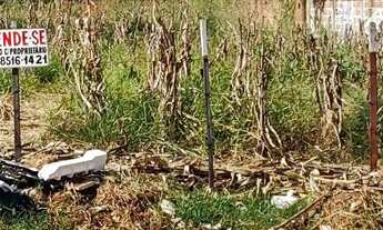 Imagem: EXCELENTE LOTE COMERCIAL AV. GRAÇAS ARANHA