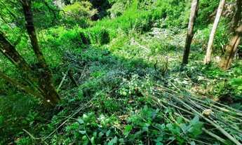 Imagem 4: Terreno para Venda em Curitiba, Pilarzinho