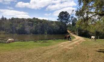 Imagem: Fazenda para venda possui 75 alqueires