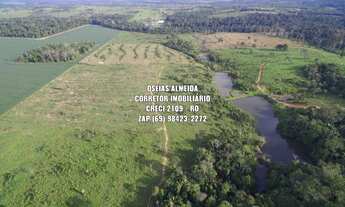 Imagem 4: 38 Alqueires tripla aptidão