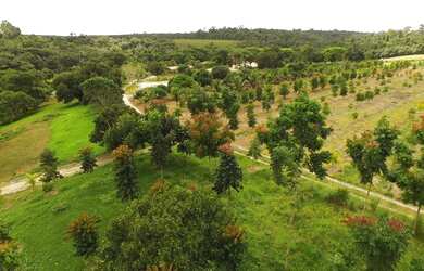 Imagem 3: Sítio à venda, 1200 m² por R$ 180.000,00 - São José - Alcobaça/BA