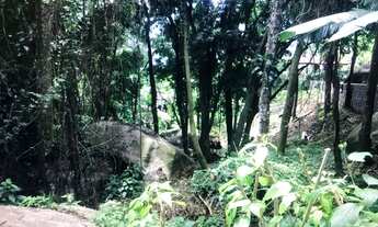 Imagem: Lote/Terreno para venda tem 1300 metros