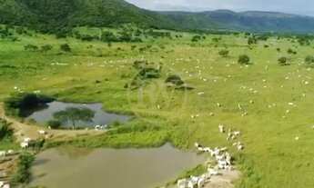 Imagem 2: Alvorada do Norte - Fazenda - Zona Rural