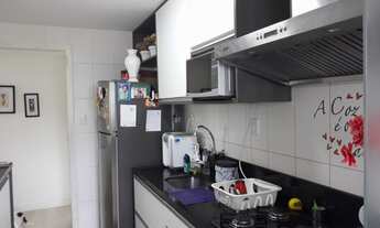 Imagem 6: Lindo 3/4 Miragem