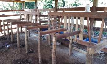 Imagem 3: Fazenda 04 Alqueires Petronilina .Terra Boa e Boa de agua Top