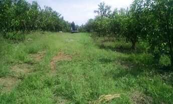 Imagem 7: Área industrial, para vender em Itupeva/SP, 22mil m²