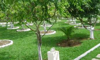 Imagem 6: LINDA E DELICIOSA CHÁCARA EM SÃO PEDRO!!!!