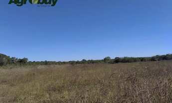 Imagem 6: Fazenda Com 600 Alqueires Localizada em Peixe to