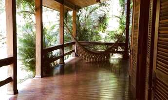 Imagem: Feliz entre as árvores