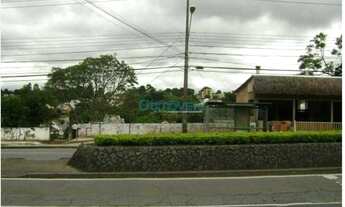 Imagem 4: TERRENO NA MANOEL RIBAS - MERCÊS - 650m²