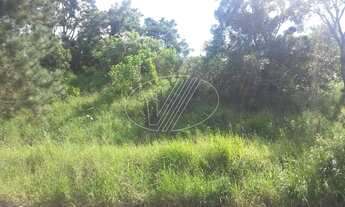 Imagem 3: Terreno - Joaquim Egídio - Campinas