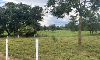 Imagem 3: Fazenda - Itapuranga (GO