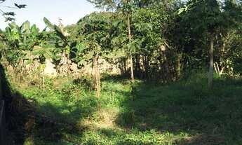 Imagem 7: CASA RESIDENCIAL em JOINVILLE - SC, DONA FRANCISCA (PIRABEIRABA