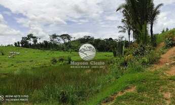 Imagem 7: Ariquemes - Sítio - 20 Alqueires em Ariquemes