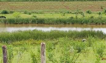 Imagem: CHÁCARA COM 1.5 Alqueires A VENDA - localizada