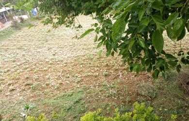 Imagem 7: FAZENDA RIO GRANDE - Loteamento/Condomínio - EUCALIPTOS