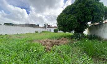 Imagem 3: Área Comercial ou Residencial às margens da BR 367