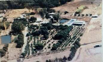 Imagem 5: Sitio 8 hectares incra 8