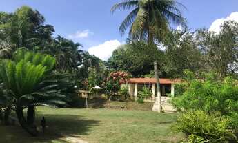 Imagem 4: Sítio de Luxo no Eusébio com 15.000m², casa com 5 suítes e 500m² de área construída toda m